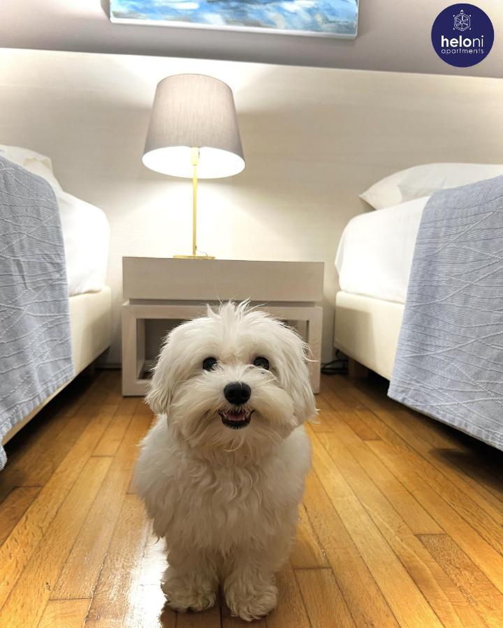 Aegle By Heloni Apartments Atina Dış mekan fotoğraf